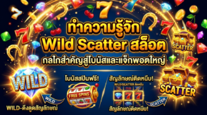 ทำความรู้จัก-Wild-Scatter